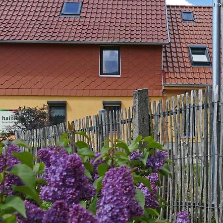 Hainich-Zeit Rodeberg Buitenkant foto