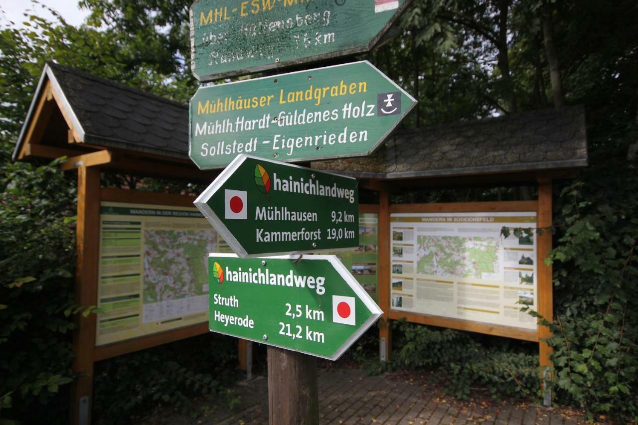Hainich-Zeit Rodeberg Buitenkant foto