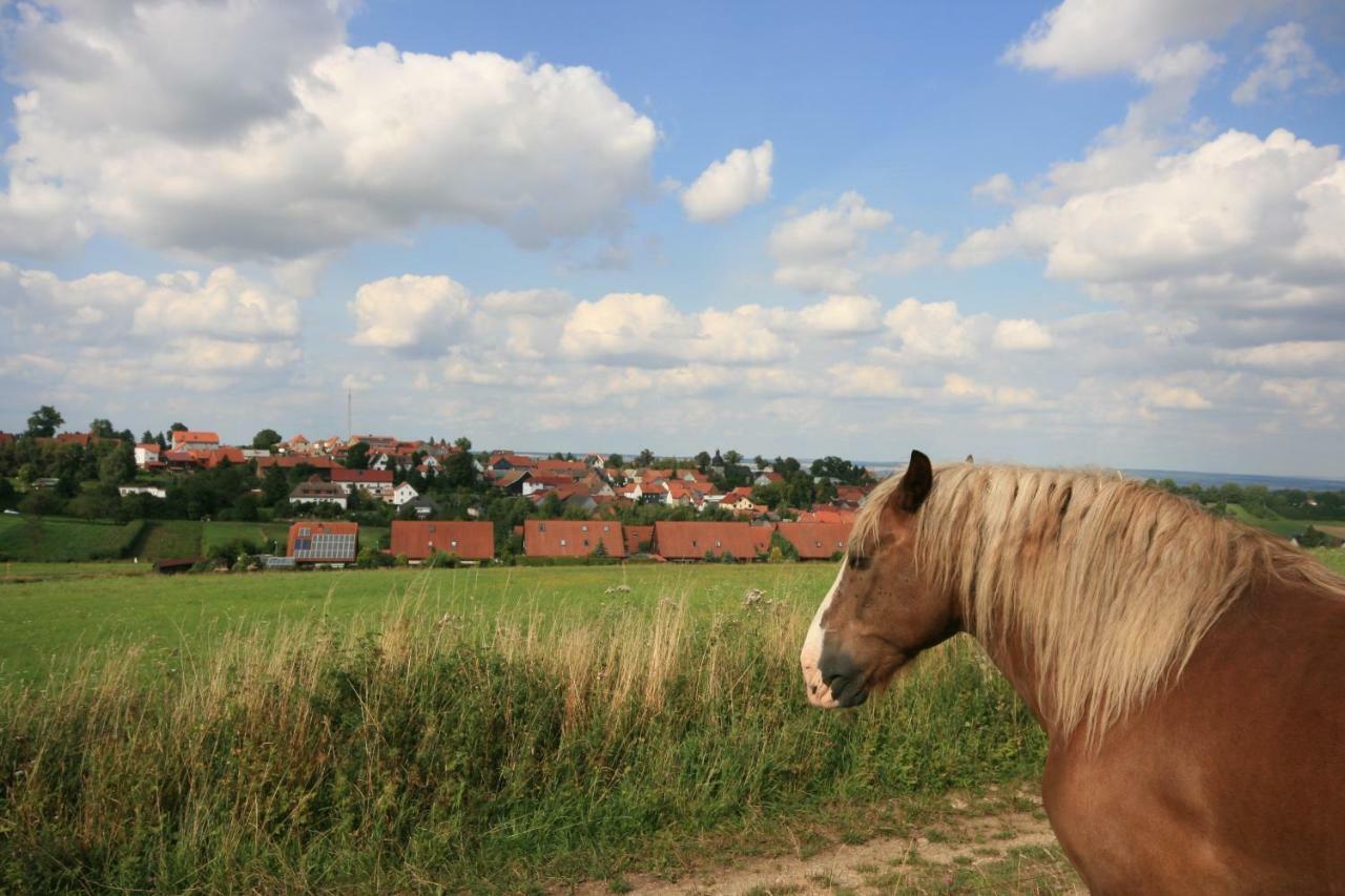 Hainich-Zeit Rodeberg Buitenkant foto